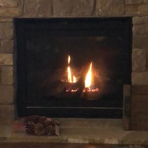 Meet your Posher, Darla